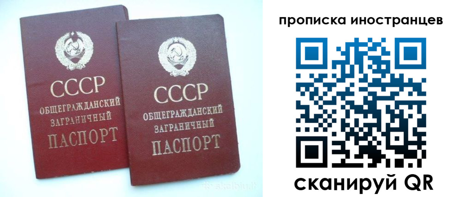 прописка 2025 в Кургане